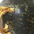 Paire de vases en bronze - Paul Louchet